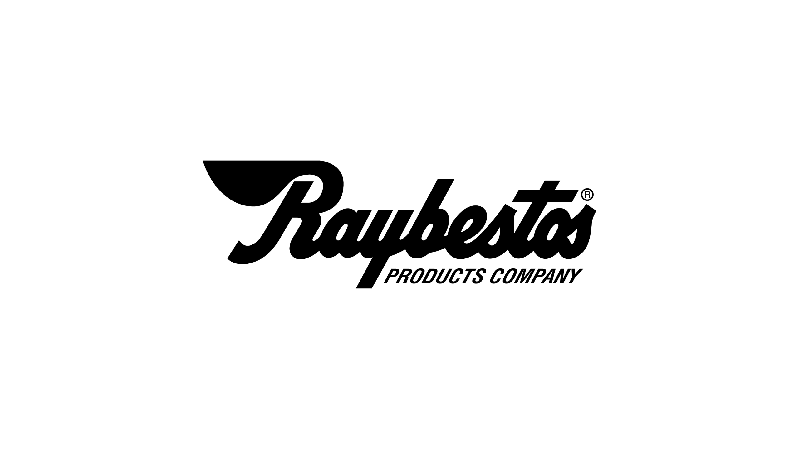 logo raybestos
